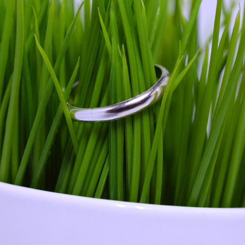 Simple Sterling Silver Ring Band